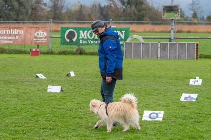 k-HVD VM 26-10-2024 080