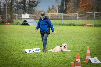 k-HVD VM 26-10-2024 082