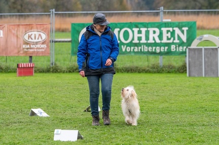 k-HVD VM 26-10-2024 081