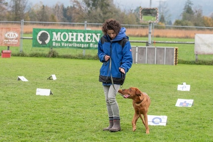 k-HVD VM 26-10-2024 084