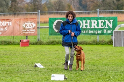 k-HVD VM 26-10-2024 085