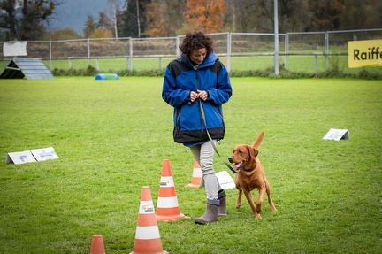 k-HVD VM 26-10-2024 087