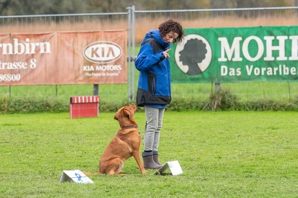 k-HVD VM 26-10-2024 088