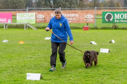 k-HVD VM 26-10-2024 090