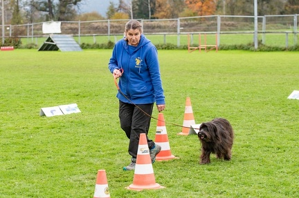 k-HVD VM 26-10-2024 091