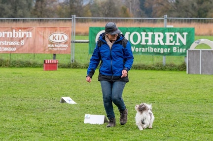 k-HVD VM 26-10-2024 093