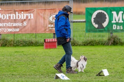 k-HVD VM 26-10-2024 095