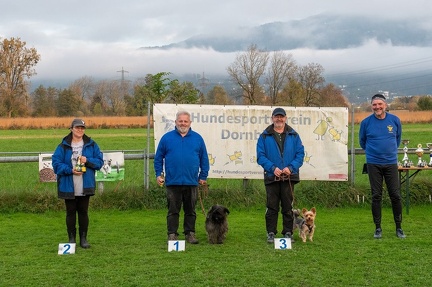 k-HVD VM 26-10-2024 097