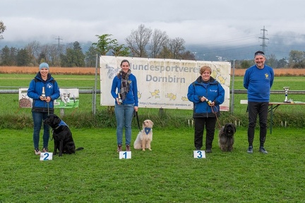 k-HVD VM 26-10-2024 101