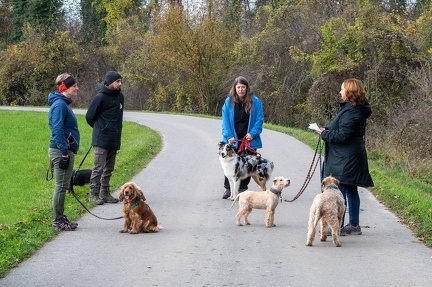 k-Krimi Wanderung 10-11-2024 18