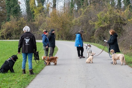 k-Krimi Wanderung 10-11-2024 19