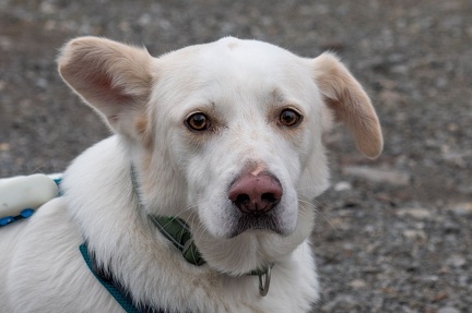 k-2024-12-31  Silvester am Alten Rhein 02