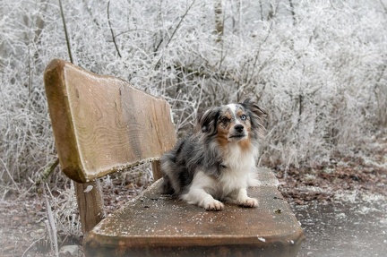 k-2024-12-31  Silvester am Alten Rhein 08