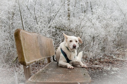 k-2024-12-31  Silvester am Alten Rhein 09