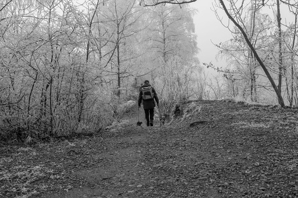 k-2024-12-31  Silvester am Alten Rhein 45