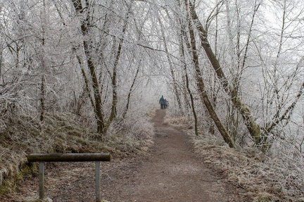 k-2024-12-31  Silvester am Alten Rhein 52