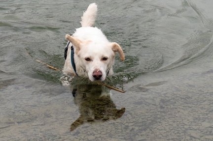 k-2024-12-31  Silvester am Alten Rhein 56