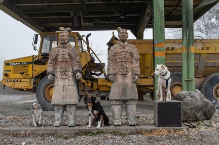 k-2024-12-31  Silvester am Alten Rhein 63