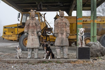 k-2024-12-31  Silvester am Alten Rhein 64