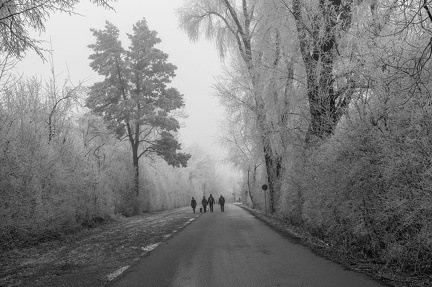 k-2024-12-31  Silvester am Alten Rhein 73