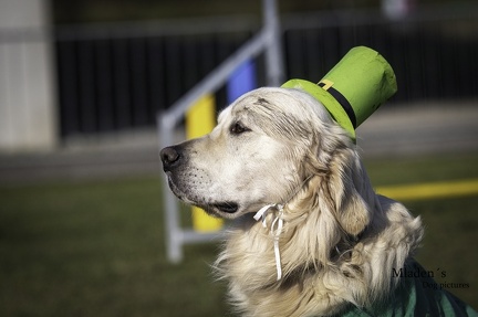 k-2025-03-01 Fasching beim HVD 19
