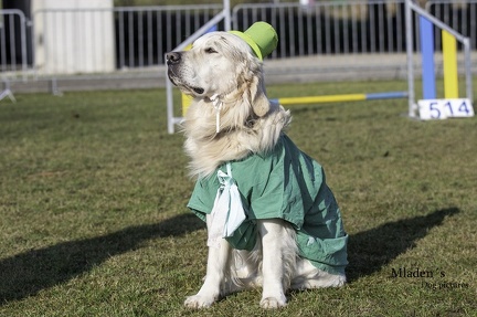 k-2025-03-01 Fasching beim HVD 22