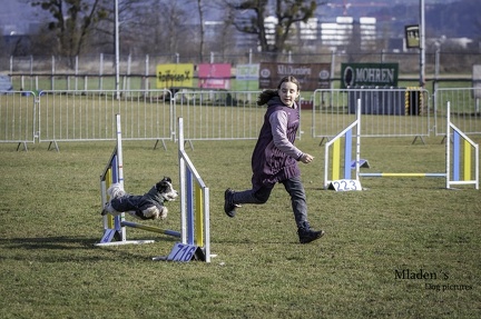 k-2025-03-01 Fasching beim HVD 44