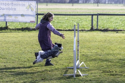 k-2025-03-01 Fasching beim HVD 45
