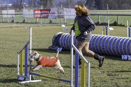 k-2025-03-01 Fasching beim HVD 50