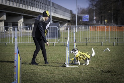 k-2025-03-01 Fasching beim HVD 62
