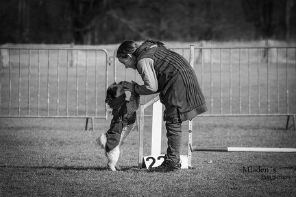 k-2025-03-01 Fasching beim HVD 73
