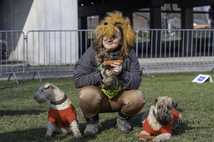 k-2025-03-01 Fasching beim HVD 74