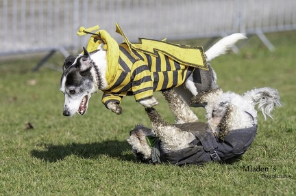 k-2025-03-01 Fasching beim HVD 84