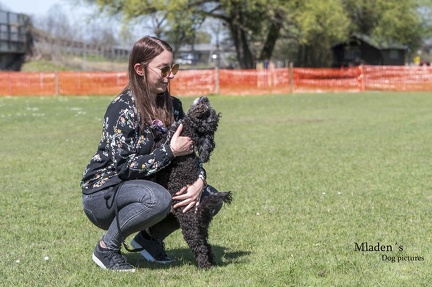 2025-04-12 HVD Training-11