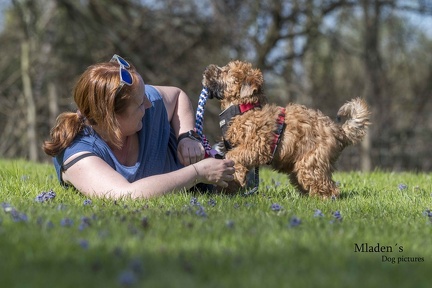 2025-04-12 HVD Training-130