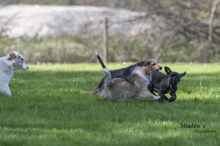 2025-04-12 HVD Training-149