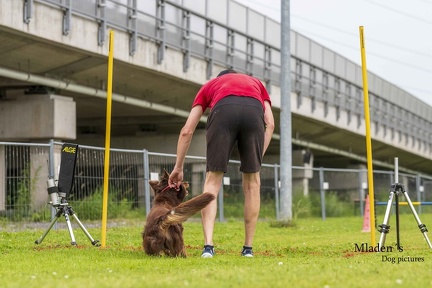 2025-06-15 BSP Hürde-0020