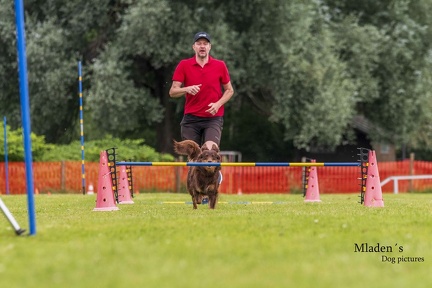 2025-06-15 BSP Hürde-0022