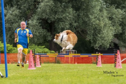 2025-06-15 BSP Hürde-0033