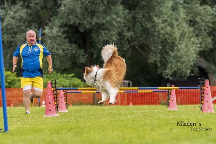 2025-06-15 BSP Hürde-0034