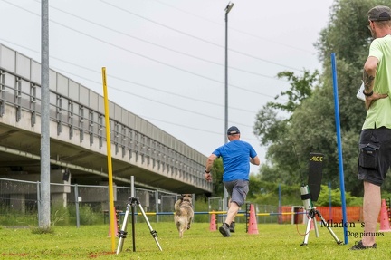 2025-06-15 BSP Hürde-0043