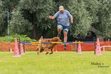 2025-06-15 BSP Hürde-0060