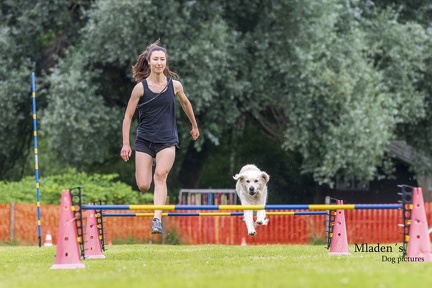 2025-06-15 BSP Hürde-0064