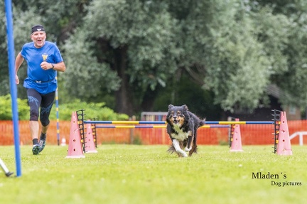2025-06-15 BSP Hürde-0083