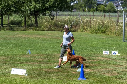 2025-06-29 LM-RO Kummenberg-0101