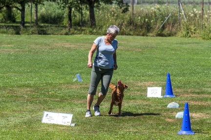 2025-06-29 LM-RO Kummenberg-0102