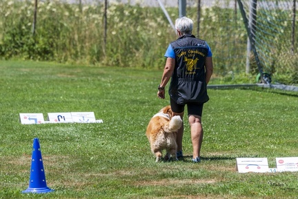 2025-06-29 LM-RO Kummenberg-0123
