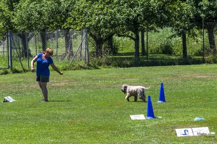 2025-06-29 LM-RO Kummenberg-0178