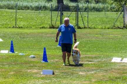 2025-06-29 LM-RO Kummenberg-0184