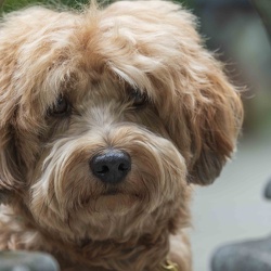 2025-08-23 Fotoführerschein Team DIGITAL